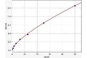 Typical standard curve (RGS19 Kit ELISA)