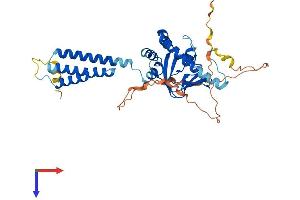 AlphaFold protein structure predicition of Mouse Recombinant Popdc2 Protein, UniprotID Q9ES82