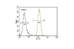 UGT2B15 Antibody (Center) (ABIN656309 and ABIN2845611) flow cytometric analysis of NCI- cells (right histogram) compared to a negative control cell (left histogram).
