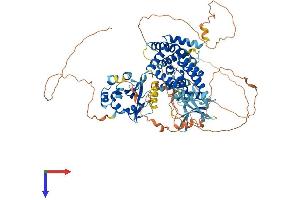 AlphaFold protein structure predicition of Human Recombinant RIN1 Protein, UniprotID Q13671