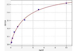 Typical standard curve