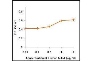 Activity Assay (AcA) image for Colony Stimulating Factor 3 (Granulocyte) (CSF3) (Active) protein (ABIN5509310) (G-CSF Protéine)
