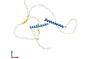 AlphaFold protein structure predicition of Mouse Recombinant Olig3 Protein, UniprotID Q6PFG8