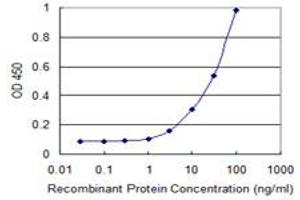 Detection limit for recombinant GST tagged POMT2 is 1 ng/ml as a capture antibody. (POMT2 anticorps  (AA 483-580))