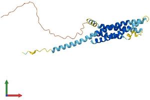 AlphaFold protein structure predicition of Human Recombinant MS4A2 Protein, UniprotID Q01362
