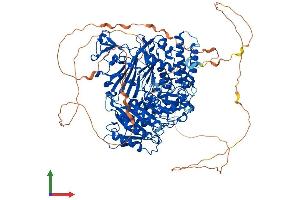 AlphaFold protein structure predicition of Human Recombinant SEC24C Protein, UniprotID P53992