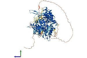 AlphaFold protein structure predicition of Human Recombinant MOCOS Protein, UniprotID Q96EN8