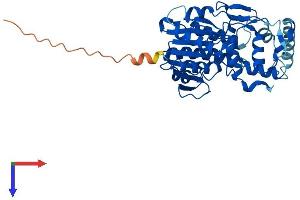 AlphaFold protein structure predicition of Mouse Recombinant Nsdhl Protein, UniprotID Q9R1J0