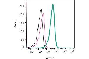 Cell surface detection of NK1R by direct flow cytometry in live intact human Jurkat T-cell leukemia cell line: + Rabbit IgG Isotype Control-APC (ABIN7582043). (TACR1 anticorps  (Extracellular) (APC))