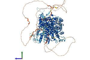 AlphaFold protein structure predicition of Mouse Recombinant Sos1 Protein, UniprotID Q62245