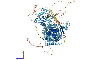 AlphaFold protein structure predicition of Human Recombinant ATP2B2 Protein, UniprotID Q01814