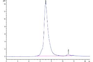 The purity of Human CD96 (C110S) is greater than 95 % as determined by SEC-HPLC.