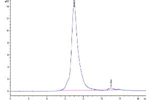 The purity of Human CD96 (C110S) is greater than 95 % as determined by SEC-HPLC. (CD96 Protein (CD96) (Cys110Ser-Mutant) (His tag))