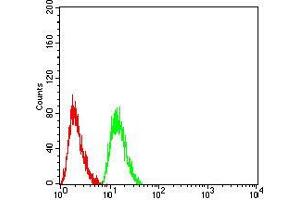 Flow cytometric analysis of Hela cells using AKT1 mouse mAb (green) and negative control (red).