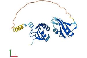 AlphaFold protein structure predicition of Human Recombinant SNRPB2 Protein, UniprotID P08579