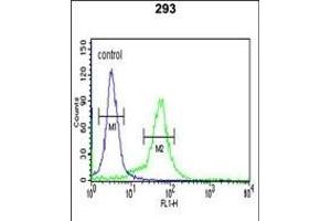 BTBD1 Antibody (Center) (ABIN391491 and ABIN2841458) flow cytometric analysis of 293 cells (right histogram) compared to a negative control cell (left histogram). (BTBD1 anticorps  (AA 295-322))