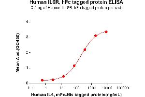 ELISA plate pre-coated by 1 μg/mL (100 μL/well) Human IL6R, hFc tagged protein (ABIN7092702, ABIN7272204 and ABIN7272205) can bind Human IL6, mFc-His tagged protein ABIN6961105, ABIN7042239 and ABIN7042240 in a linear range of 14.
