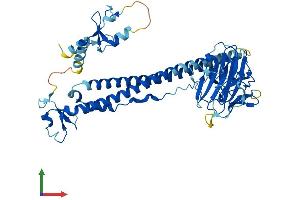 AlphaFold protein structure predicition of Human Recombinant TRIM68 Protein, UniprotID Q6AZZ1