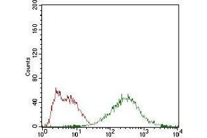 Flow cytometric analysis of HepG2 cells using EIF2A mouse mAb (green) and negative control (red).