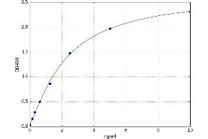 A typical standard curve