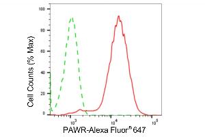 Flow cytometric analysis of PAWR expression in HepG2 cells using PAWR antibody (ABIN7799899), 1:2,000).