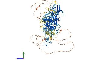 AlphaFold protein structure predicition of Mouse Recombinant Prkd3 Protein, UniprotID Q8K1Y2