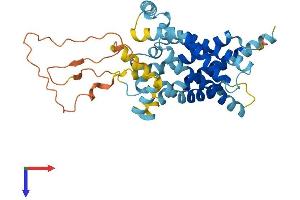 AlphaFold protein structure predicition of Human Recombinant SLC25A39 Protein, UniprotID Q9BZJ4