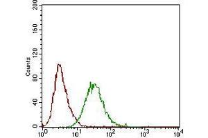 Flow cytometric analysis of Hela cells using PLA2G12A mouse mAb (green) and negative control (red).