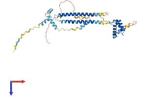 AlphaFold protein structure predicition of Mouse Recombinant Pbx4 Protein, UniprotID Q99NE9