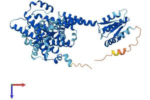 AlphaFold protein structure predicition of Mouse Recombinant Slc26a11 Protein, UniprotID Q80ZD3