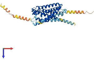 Purinergic Receptor P2Y, G-Protein Coupled, 13 (P2RY13) (AA 1-354) protein (His tag)