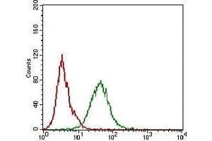 Flow cytometric analysis of A431 cells using CDH16 mouse mAb (green) and negative control (red). (Cadherin-16 anticorps)