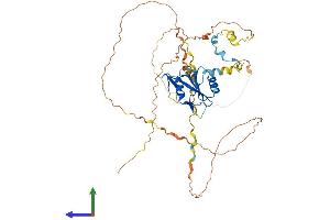 AlphaFold protein structure predicition of Mouse Recombinant Clnk Protein, UniprotID Q9QZE2