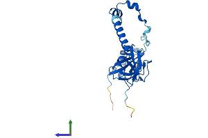 AlphaFold protein structure predicition of Human Recombinant TBCB Protein, UniprotID Q99426