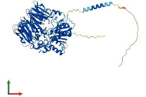 AlphaFold protein structure predicition of Mouse Recombinant Dpp10 Protein, UniprotID Q6NXK7