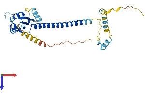 AlphaFold protein structure predicition of Human Recombinant ABT1 Protein, UniprotID Q9ULW3