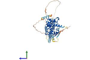 AlphaFold protein structure predicition of Human Recombinant DEF8 Protein, UniprotID Q6ZN54