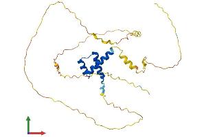 AlphaFold protein structure predicition of Mouse Recombinant Meox2 Protein, UniprotID P32443