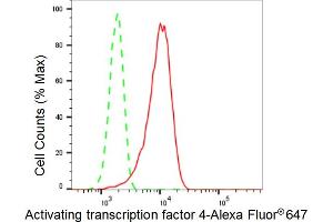 Flow cytometric analysis of Activating transcription factor 4 expression in HT- cells using Activating transcription factor 4 antibody (ABIN7797483), 1:2,000).