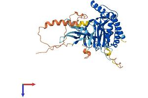 AlphaFold protein structure predicition of Human Recombinant IP6K2 Protein, UniprotID Q9UHH9