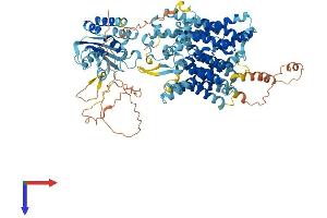 AlphaFold protein structure predicition of Mouse Recombinant Slc4a11 Protein, UniprotID A2AJN7