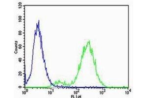 Flow cytometric analysis of Jurkat cells using CB2 antibody (green) (CNR2 anticorps  (AA 329-356))