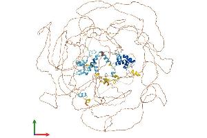 AlphaFold protein structure predicition of Human Recombinant ASXL1 Protein, UniprotID Q8IXJ9
