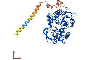 AlphaFold protein structure predicition of Human Recombinant ST8SIA4 Protein, UniprotID Q92187