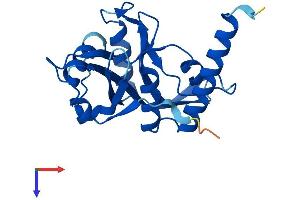 AlphaFold protein structure predicition of Human Recombinant NUDT16L1 Protein, UniprotID Q9BRJ7