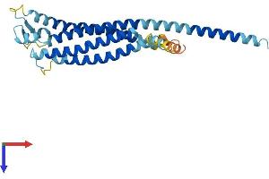 AlphaFold protein structure predicition of Mouse Recombinant Gpm6a Protein, UniprotID P35802