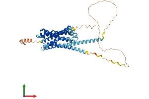 AlphaFold protein structure predicition of Mouse Recombinant Hrh3 Protein, UniprotID P58406