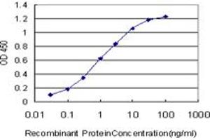 Detection limit for recombinant GST tagged KSR2 is approximately 0. (KSR2 anticorps  (AA 411-500))