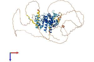 AlphaFold protein structure predicition of Mouse Recombinant Nr1d1 Protein, UniprotID Q3UV55