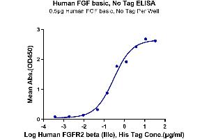Immobilized Human FGF basic at 5 μg/mL (100 μL/well) on the plate. (FGF2 Protein (AA 143-288))